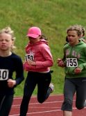 Mitmev2009060571