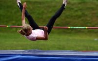 Mitmev2009060542